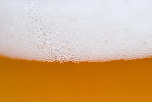 aperitivo snack saludable con cerveza fresquita