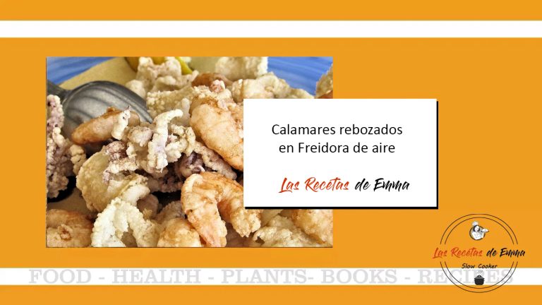 CALAMARES REBOZADOS en Freidora de Aire