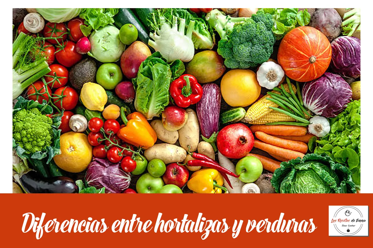 diferencia entre hortalizas y verduras