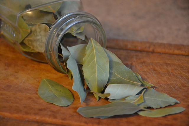 hojas de laurel secas