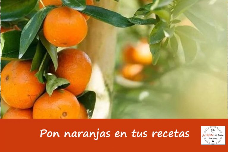 Las mejores naranjas para tus recetas