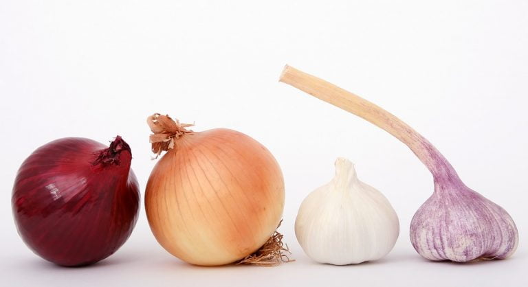 Conservar las Cebollas y Ajos durante más tiempo