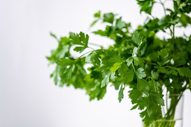 Salsa verde de albahaca y perejil