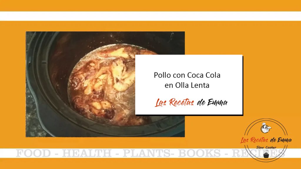 Pollo con coca cola y sopa de cebolla
