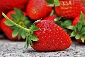 fresas de temporada